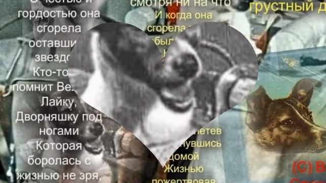 jk смотреть онлайн