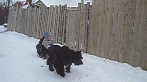 Севастопольская самоходка. Роман-Кош Берри Бьюти Квин и Бельбек  Стронг Нат