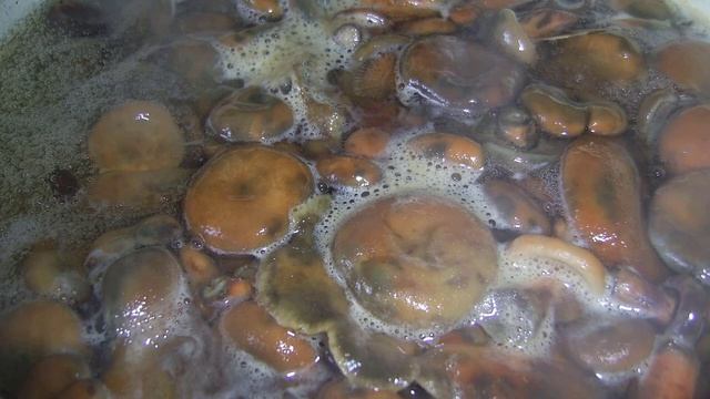 Как засолить рыжики смотреть онлайн