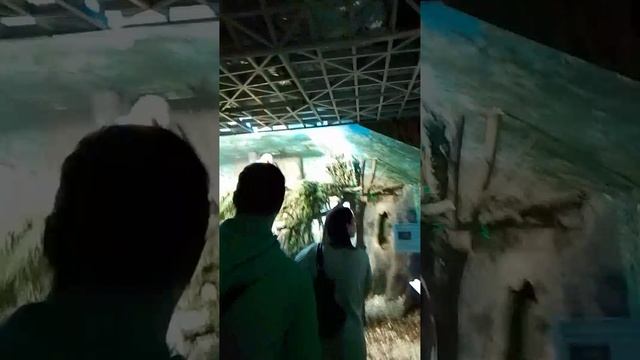 1000011150.mp4 смотреть онлайн