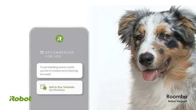 Best Robot Vacuum for Dog Hair 2023 смотреть онлайн