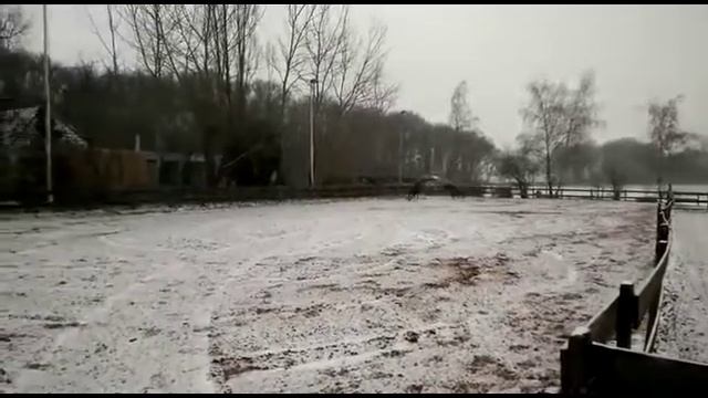 Santi & Faust: Snow Blooper смотреть онлайн