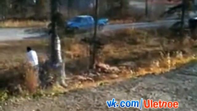 Я твой дерево на машину ронял смотреть онлайн