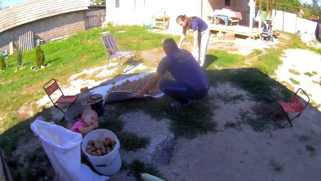 НАЧАЛОСЬ!!! ВЫКОПАЛИ КАРТОШКУ. СКОЛЬКО ПОЛУЧИЛОСЬ? ГОТОВИМСЯ К ОПЕРАЦИИ. ПЕРЕСЕЛЕНЦЫ. СЕРИЯ 39 смотреть онлайн