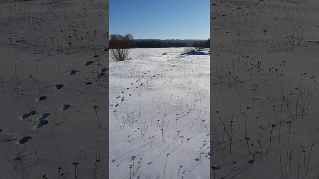 Зима, снег, мороз. смотреть онлайн