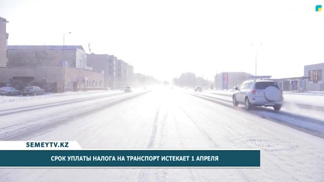 Срок уплаты налога на транспорт истекает 1 апреля смотреть онлайн