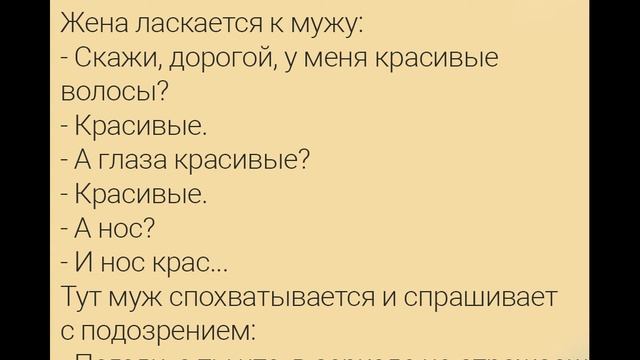 Видео анекдоты смотреть онлайн