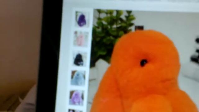 Зайчики Пушистики смотреть онлайн