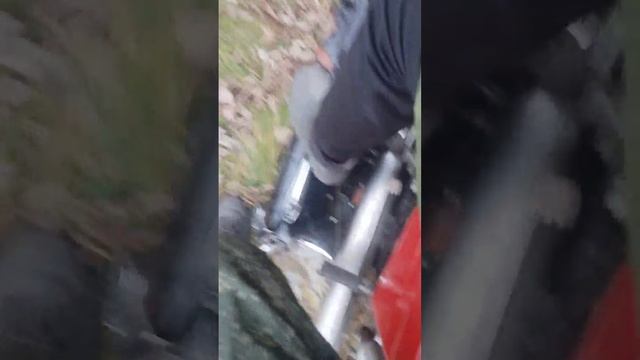 покатушки с Данилом смотреть онлайн