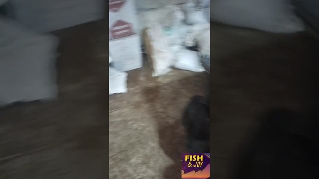 Подготовка торфа для червя смотреть онлайн