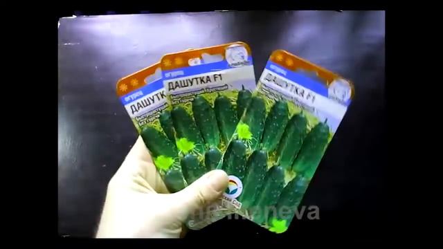 Огурец Дашутка F1 Набор три пакета. 21 семячка. смотреть онлайн