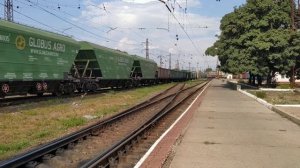 Грузовой поезд сбивает собачку