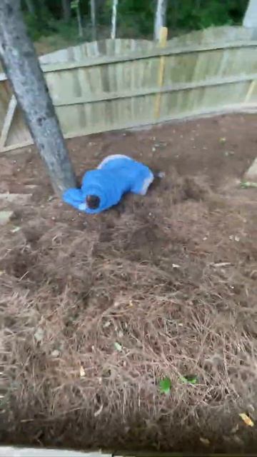 VINNY gets STUCK in his SLEEPING BAG WHILE GOING CAMPING!!! (NOT CLICKBAIT) (EPIC) (NO WAY) (OMG) смотреть онлайн
