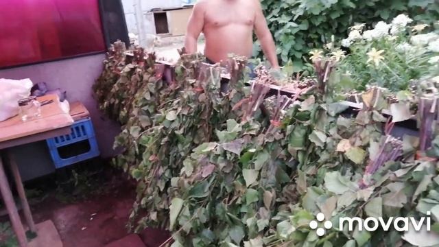 КУРБАН БАЙРАМ. ФИРМА ВЕНИКИ НЕ ВЯЖЕТ. смотреть онлайн