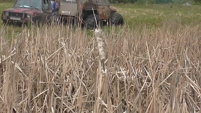 ОФФРОАДМАНЬЯКАМ лебедка не нужна вытащили MEGA-UAZ РУКАМИ OFF ROAD 4X4 смотреть онлайн
