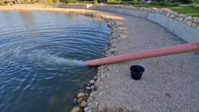 Запуск форели в водоем Загородный клуб "Ихтиолог" - рыбалка в тапочках! смотреть онлайн
