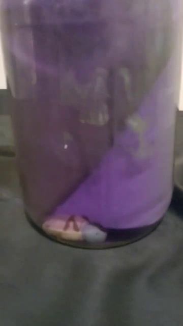 Putting a Bible in Acetone for 10 days смотреть онлайн