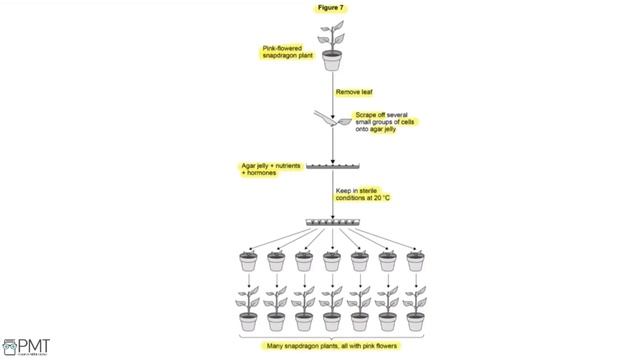 Biology GCSE - June 2019 Paper 2 (H) | PMT Education смотреть онлайн