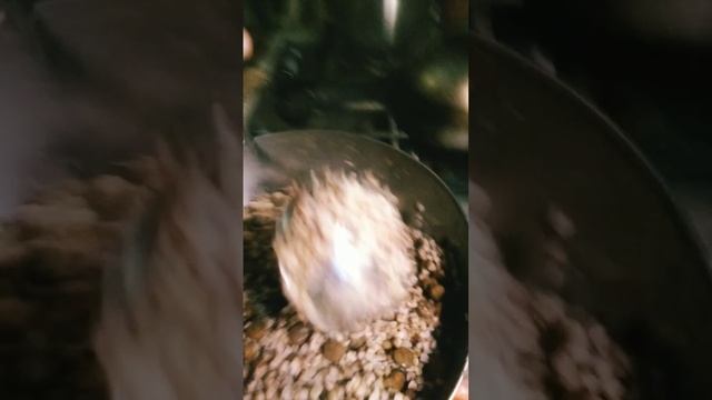 чем и как кормлю двадцать собак плюс1 смотреть онлайн