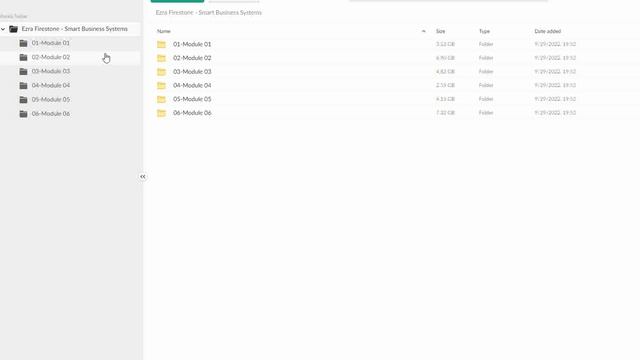 Download Ezra Firestone – Smart Business Systems смотреть онлайн