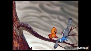 Муха и зайчик