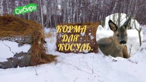 Корма для косуль.