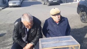 Голуби из Кущевской, Ростова, Миллерово на ярмарке в Аксае. Птичий  рынок. Bird Market. Pigeon Fair.