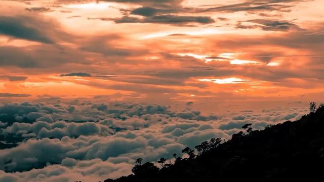 ** Money Bags or Empty Wallets? Decoding the Hidden Messages of Money Dreams!** смотреть онлайн