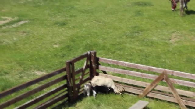 Венгрия. Прогулка по крепости Шюмег! смотреть онлайн