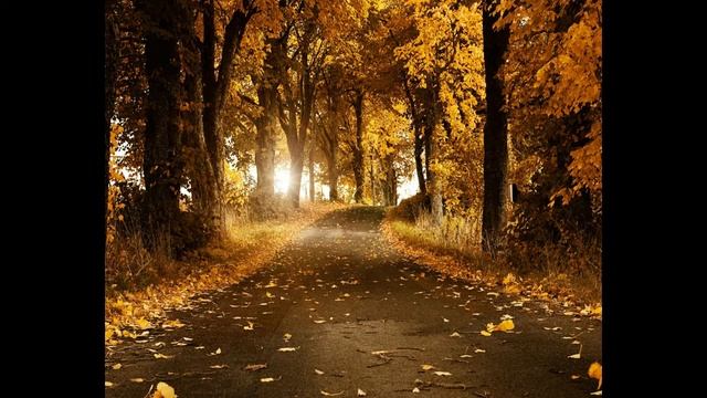 Michael Ward - Don't Speak Original Mix