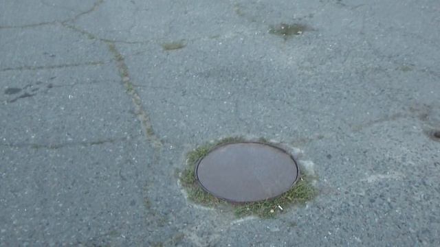 Люк для елки смотреть онлайн