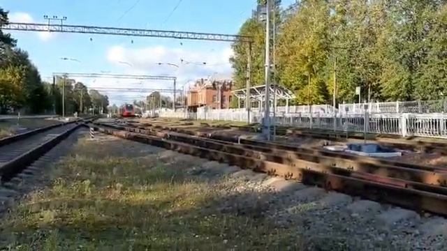 [19.09.2020] "Под стук колёс!" Сдвоенные электропоезда ЭС2Г "Ласточка" проезжают ст. Шувалово смотреть онлайн