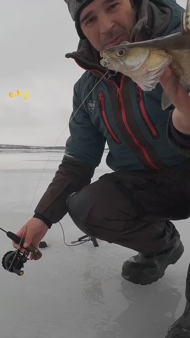 Мощный Удар Судака смотреть онлайн