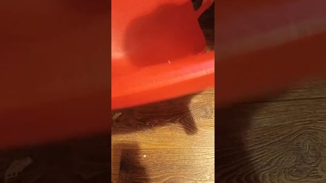 Распаковка — Стул Sheffilton SHT-S76 смотреть онлайн