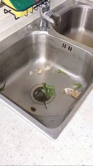 Best Home Smart Gadgets | Home Improvement Gadgets | Toilet Sink Garbage Pickup смотреть онлайн