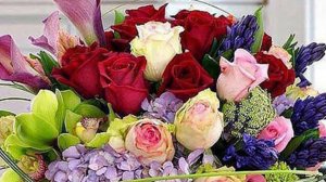 МЕЛОДИЙ ЛИТОВСКИХ ПЕСЕН.