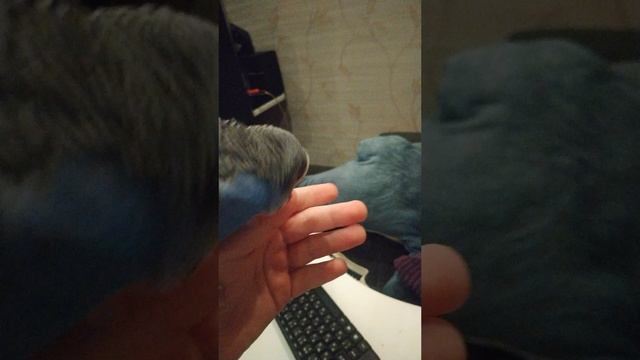 ТРЕШ...НОМЕР 2