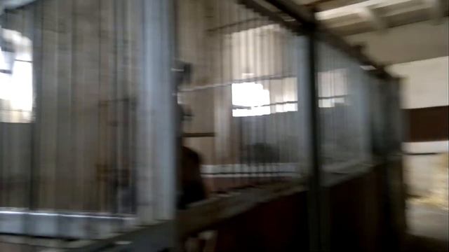 Калининградская обл. 2021 ver 2 смотреть онлайн