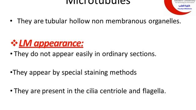 MED HIC103 ribosomes and microtubules level 1 28/7/2020 смотреть онлайн