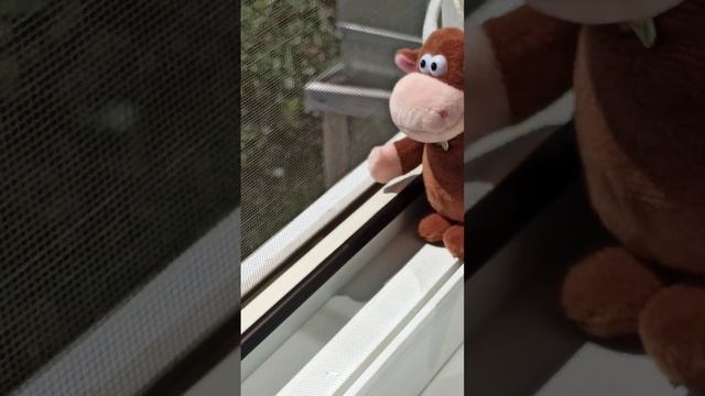 Общеукрепляющий чай 💓 привет из Сибири смотреть онлайн