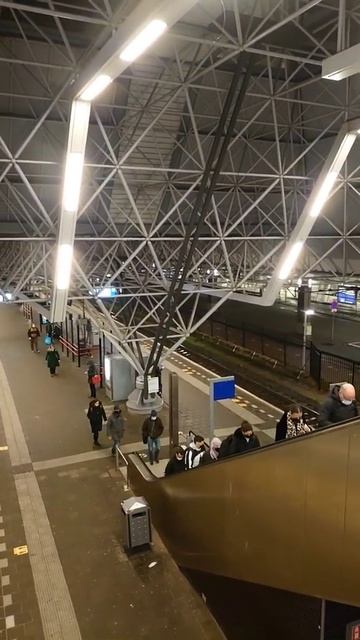 Zaandam Station | Escalator Platform 2&1 | Wed 09 Feb 2022 07:00 pm (10°C) смотреть онлайн