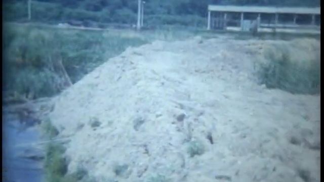 Харьков 1988год. "Экология" смотреть онлайн