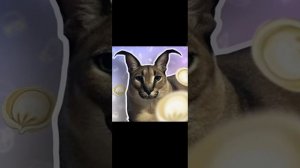 шлёпа хорошие пельмени это очень вкусно премьера клипа (2021)