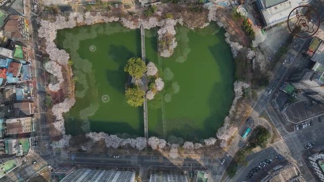 DJI 매빅3 드론 시점으로 보는 이천 안흥지 벚꽃명소 смотреть онлайн