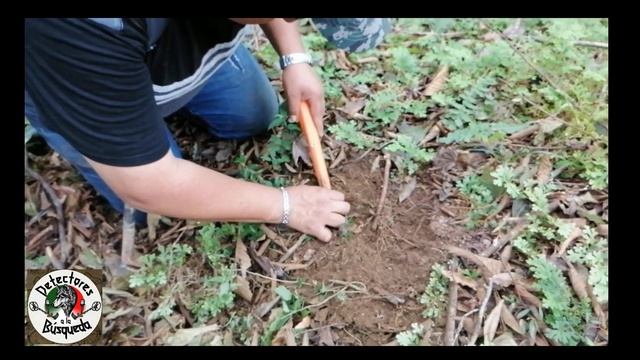 DETECTOR MD 5008 VANQUISH 340 (BUSCANDO UN TESORO) смотреть онлайн