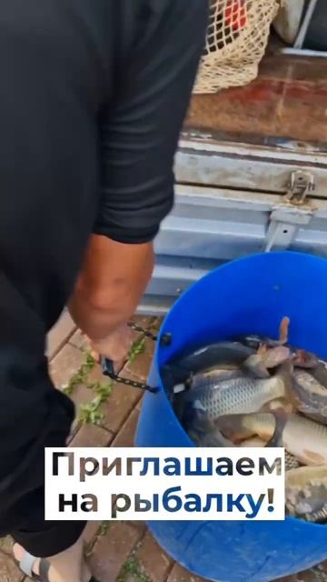 Масштабное зарыбление в загородном клубе Ихтиологе смотреть онлайн