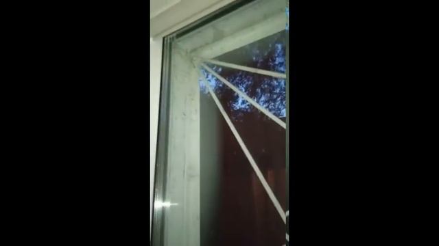 В Челябинске квартиры горожан атакует моль смотреть онлайн