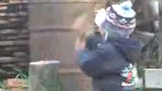 Папин помощник!!! смотреть онлайн