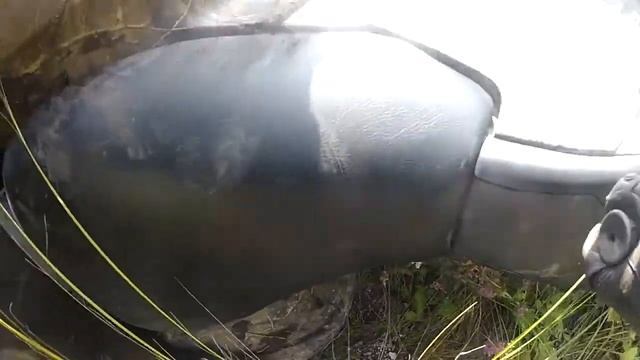 кувырк смотреть онлайн