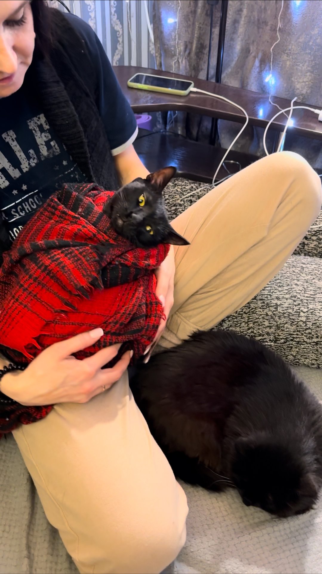 Где вы папы и мамы.